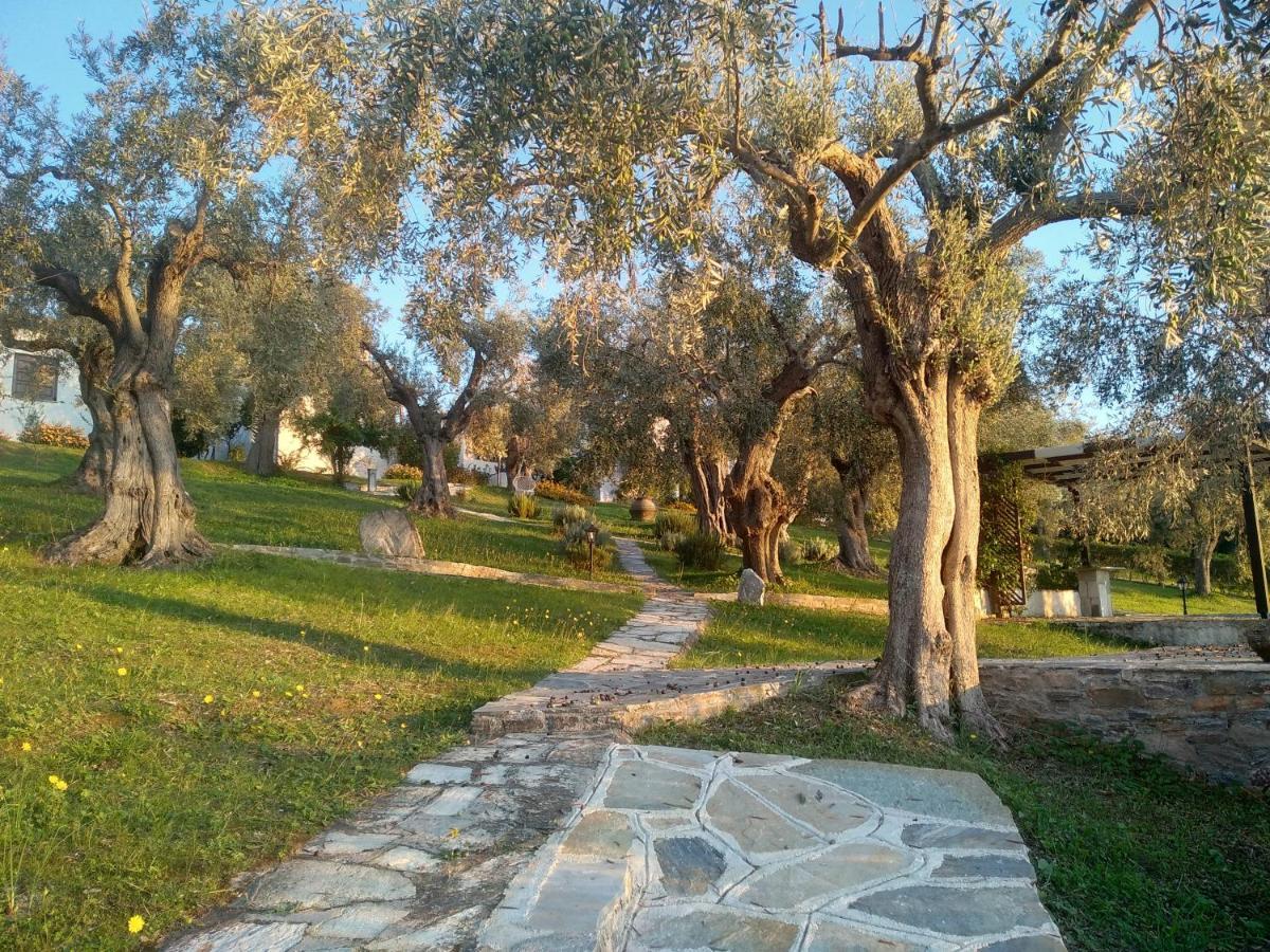 Saint Andrews Bay Villa Milina Luaran gambar